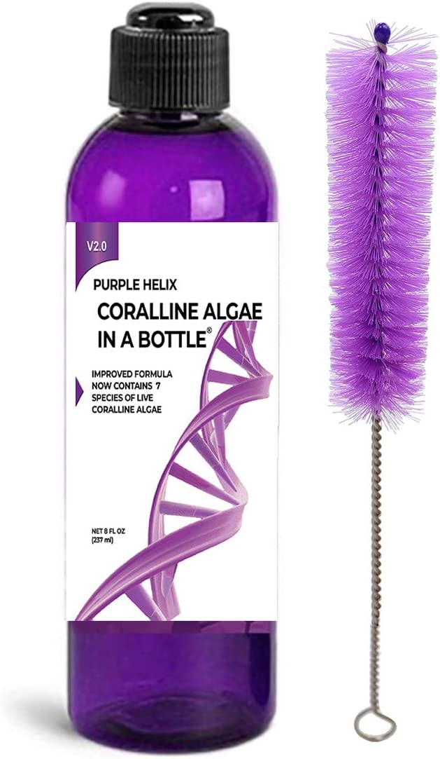 Your one-stop shop for diverse, top-quality aquarium supplies and accessories