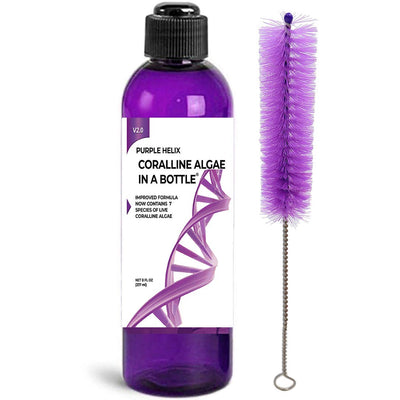 Your one-stop shop for diverse, top-quality aquarium supplies and accessories