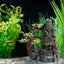 Your one-stop shop for diverse, top-quality aquarium supplies and accessories
