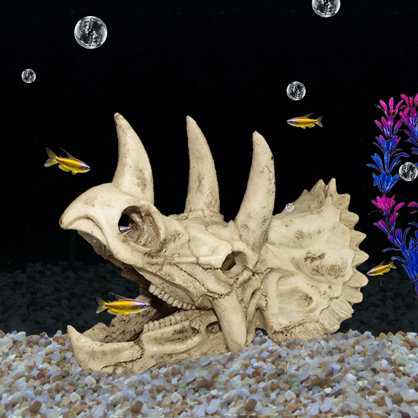 Your one-stop shop for diverse, top-quality aquarium supplies and accessories