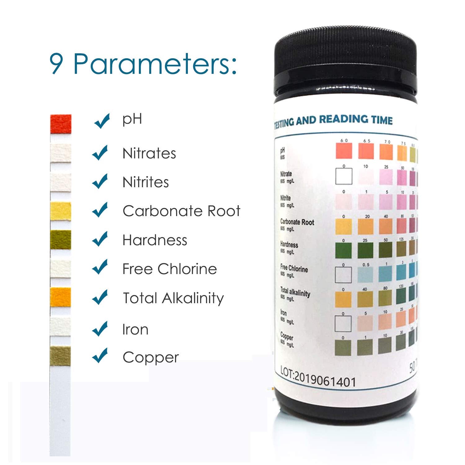 Your one-stop shop for diverse, top-quality aquarium supplies and accessories