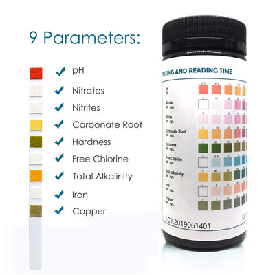 Your one-stop shop for diverse, top-quality aquarium supplies and accessories