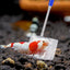 Your one-stop shop for diverse, top-quality aquarium supplies and accessories