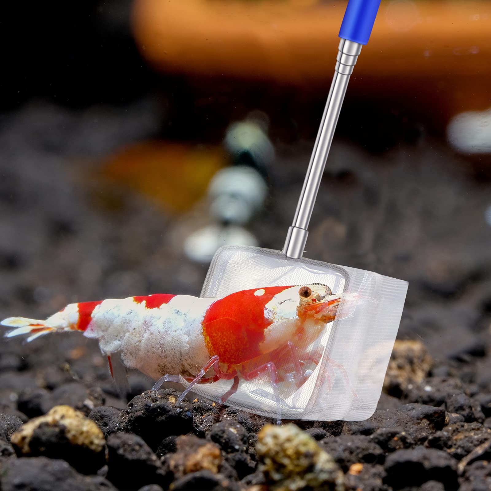 Your one-stop shop for diverse, top-quality aquarium supplies and accessories