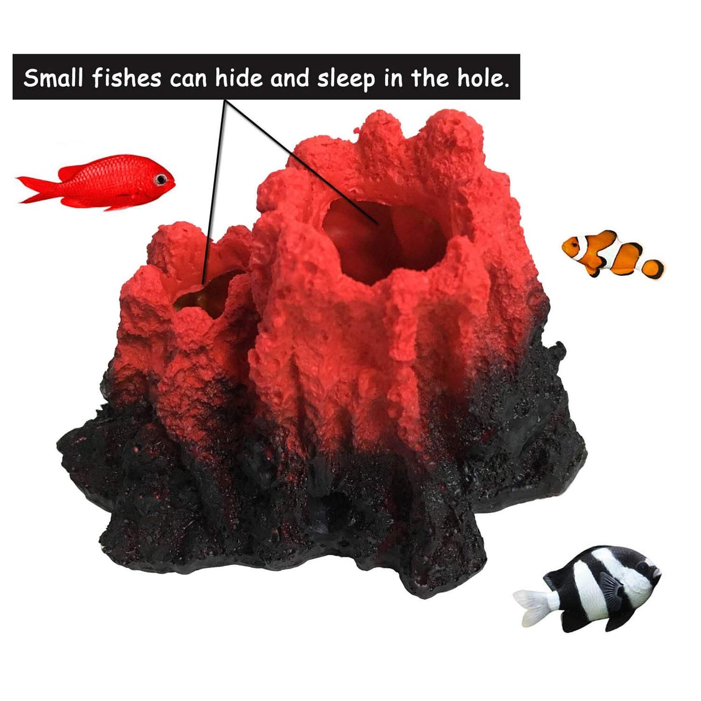 Your one-stop shop for diverse, top-quality aquarium supplies and accessories