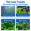 Your one-stop shop for diverse, top-quality aquarium supplies and accessories