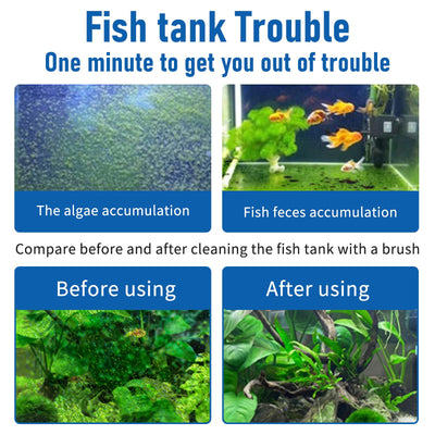 Your one-stop shop for diverse, top-quality aquarium supplies and accessories
