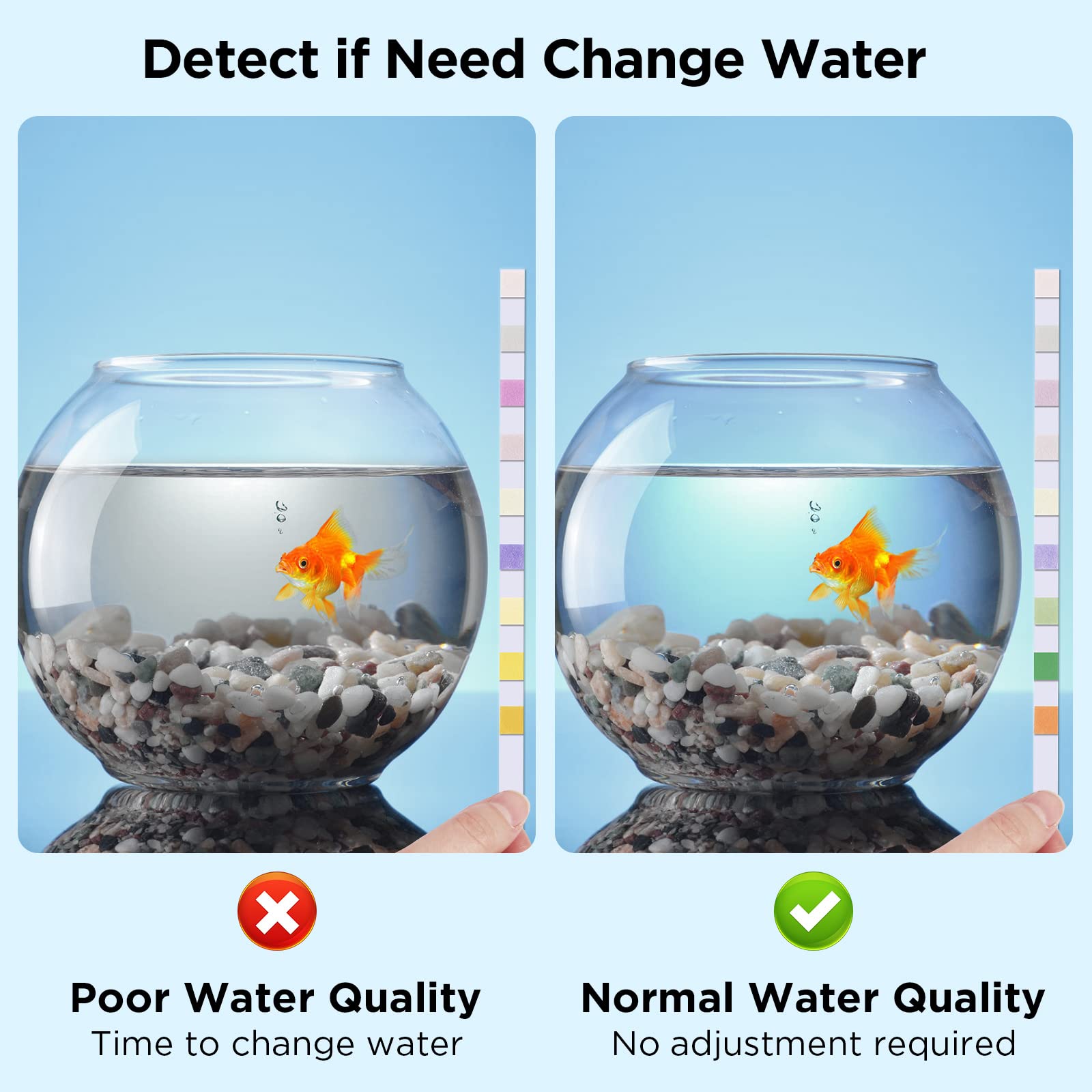 Your one-stop shop for diverse, top-quality aquarium supplies and accessories