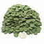 Your one-stop shop for diverse, top-quality aquarium supplies and accessories