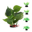 Your one-stop shop for diverse, top-quality aquarium supplies and accessories