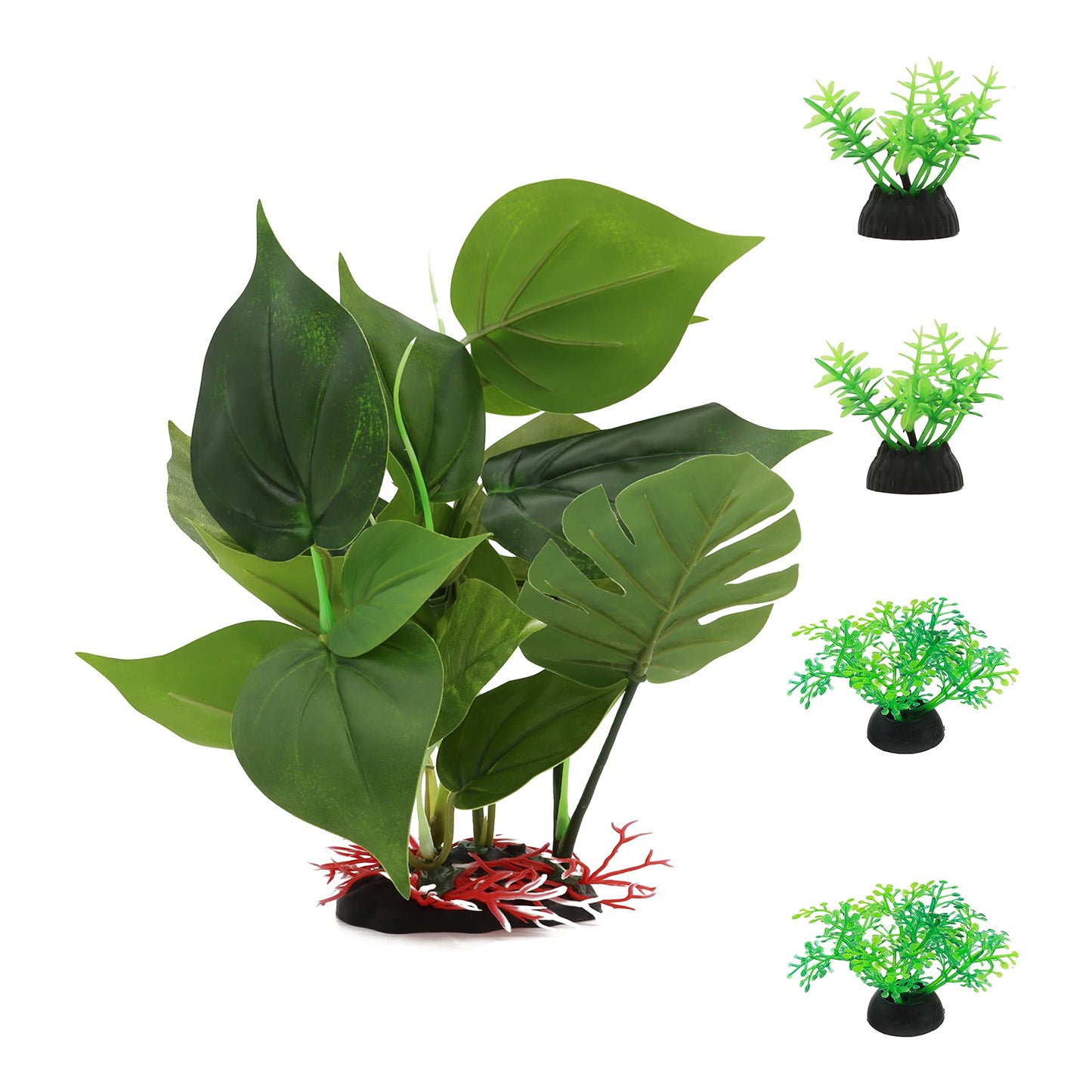 Your one-stop shop for diverse, top-quality aquarium supplies and accessories