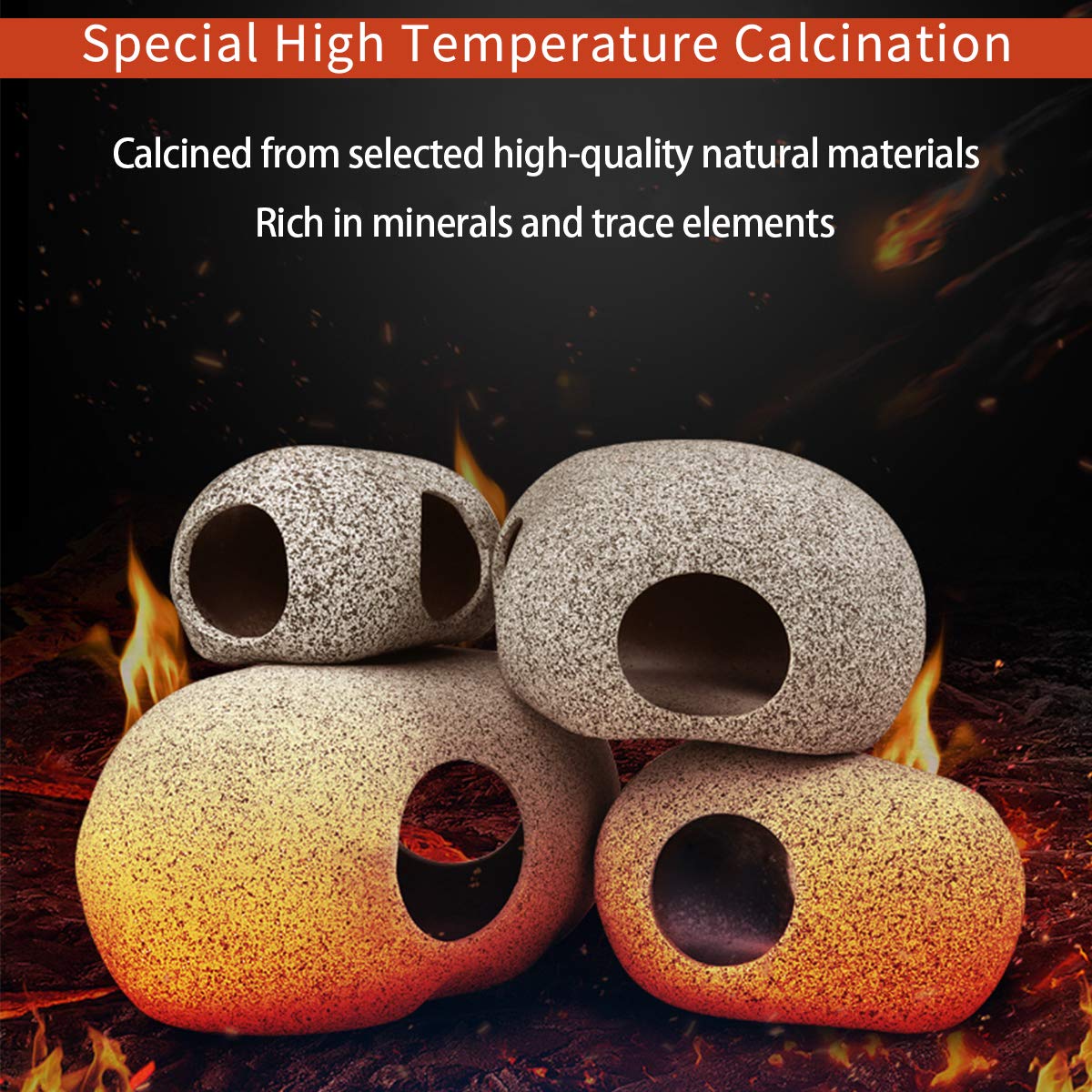 Your one-stop shop for diverse, top-quality aquarium supplies and accessories