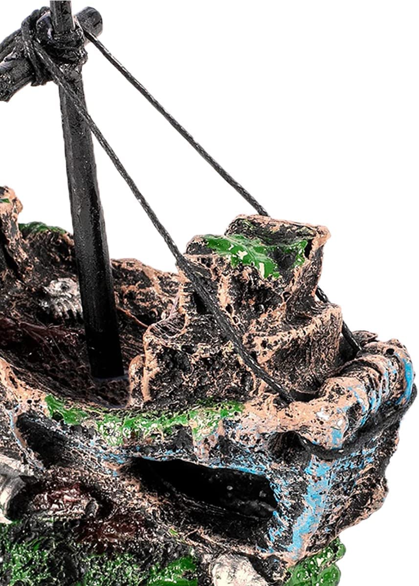 Your one-stop shop for diverse, top-quality aquarium supplies and accessories