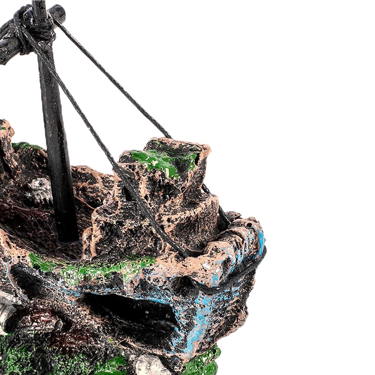 Your one-stop shop for diverse, top-quality aquarium supplies and accessories