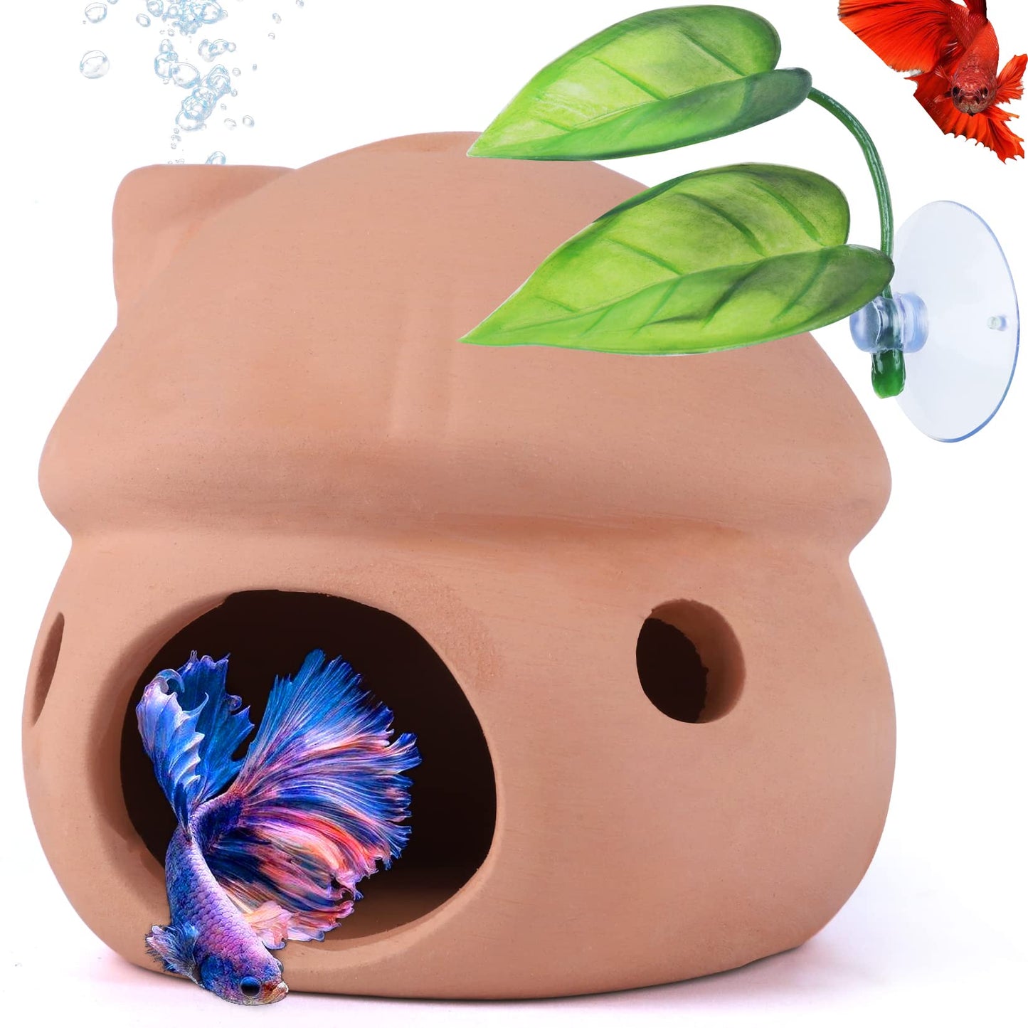 Your one-stop shop for diverse, top-quality aquarium supplies and accessories