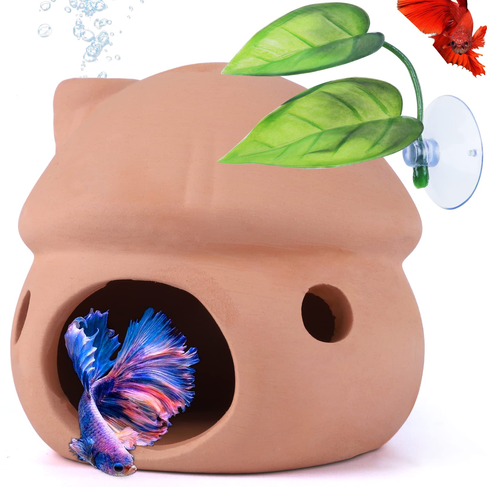 Your one-stop shop for diverse, top-quality aquarium supplies and accessories