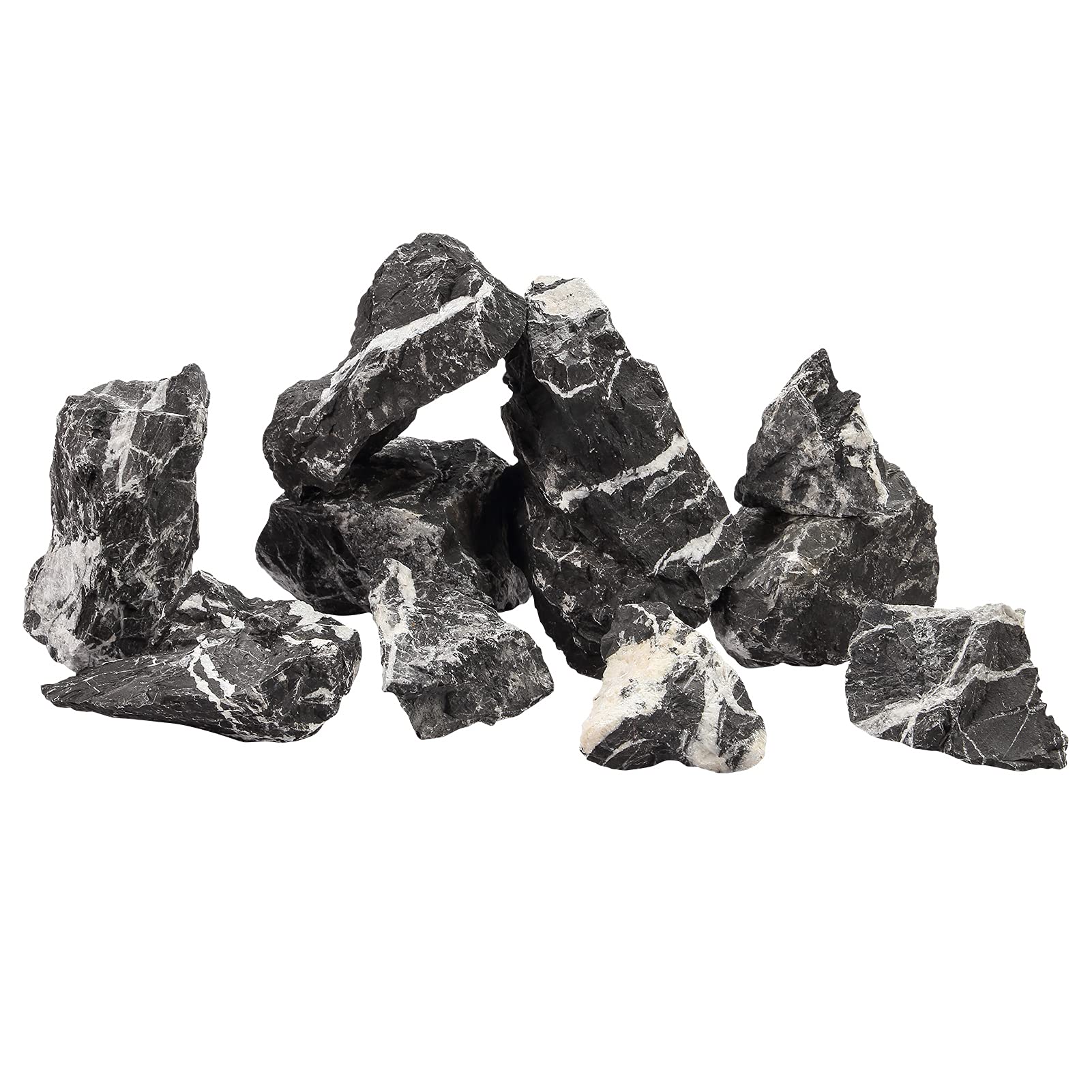 Your one-stop shop for diverse, top-quality aquarium supplies and accessories