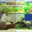 Your one-stop shop for diverse, top-quality aquarium supplies and accessories