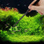 Your one-stop shop for diverse, top-quality aquarium supplies and accessories