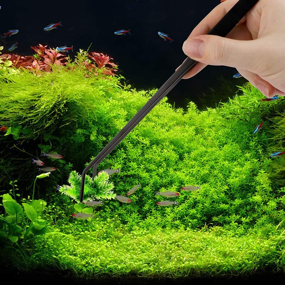 Your one-stop shop for diverse, top-quality aquarium supplies and accessories