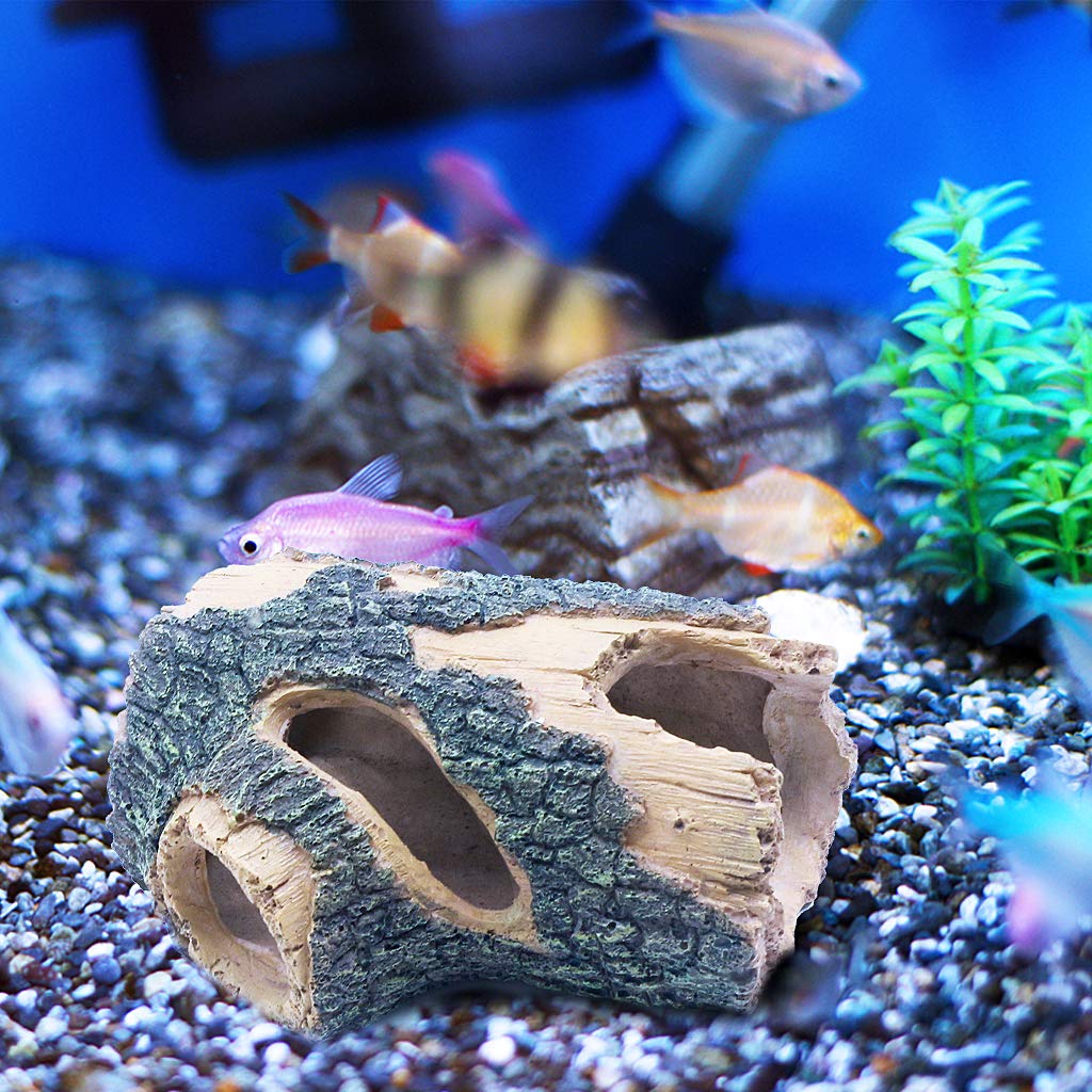 Your one-stop shop for diverse, top-quality aquarium supplies and accessories