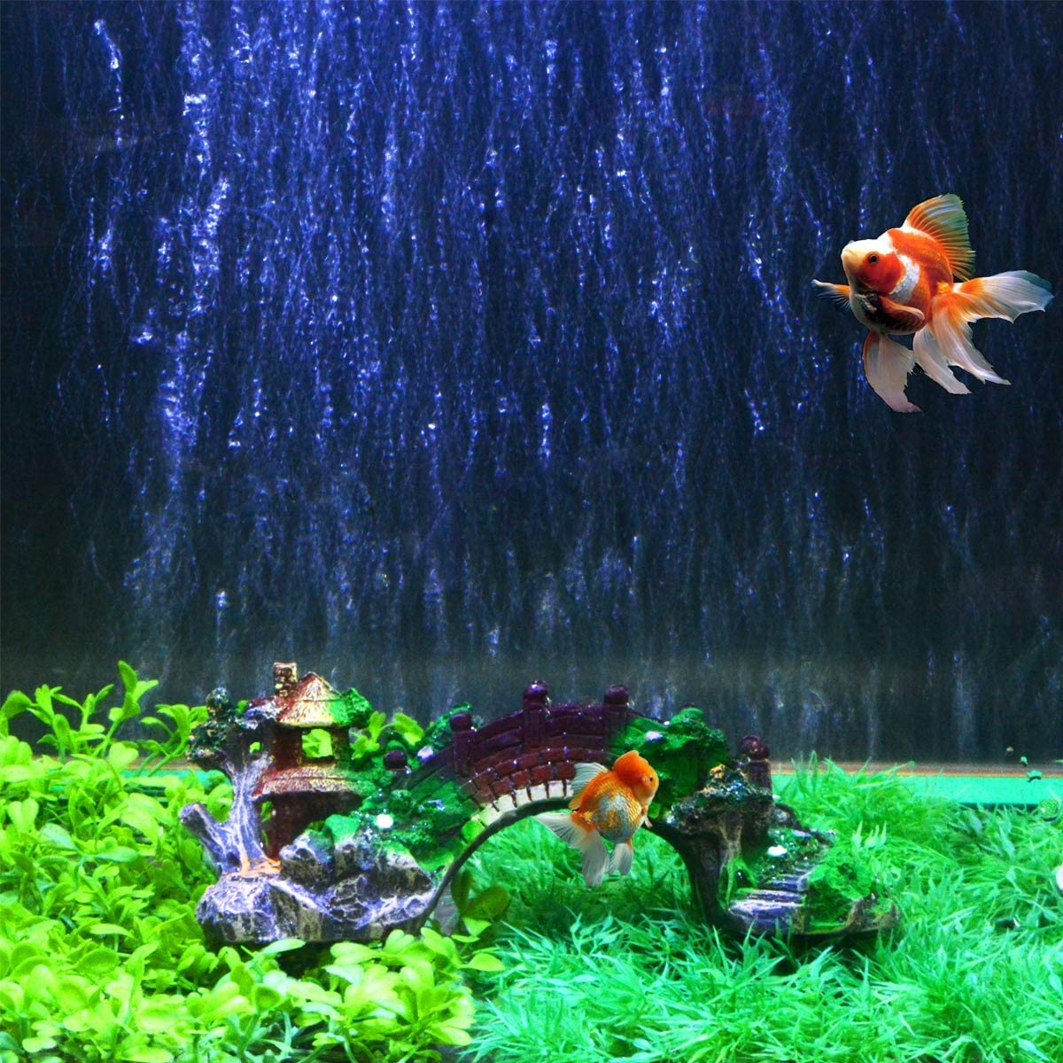 Your one-stop shop for diverse, top-quality aquarium supplies and accessories