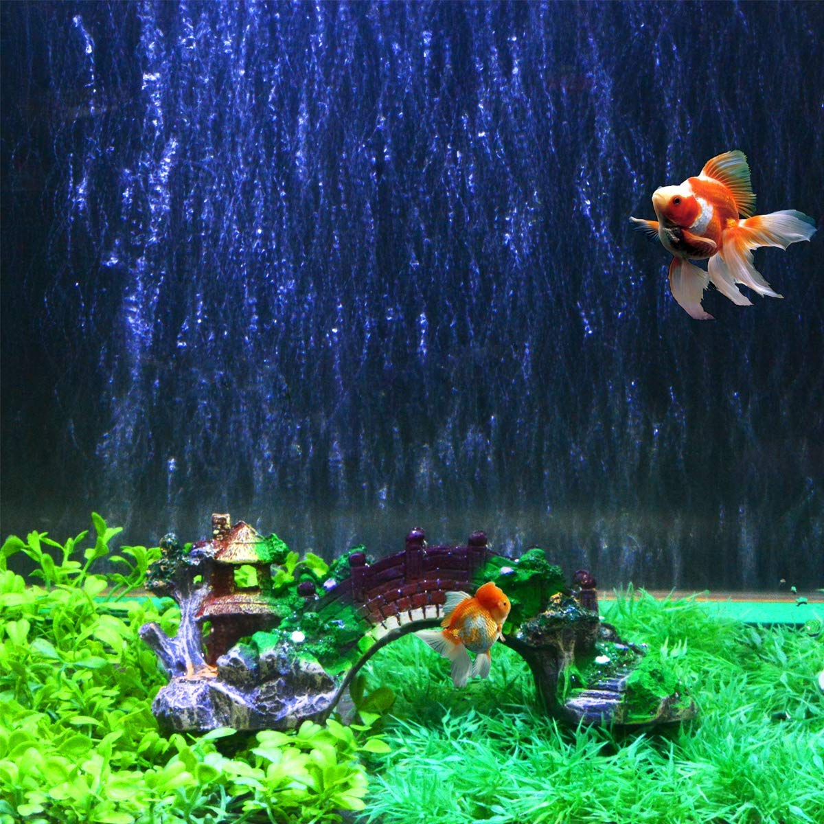 Your one-stop shop for diverse, top-quality aquarium supplies and accessories