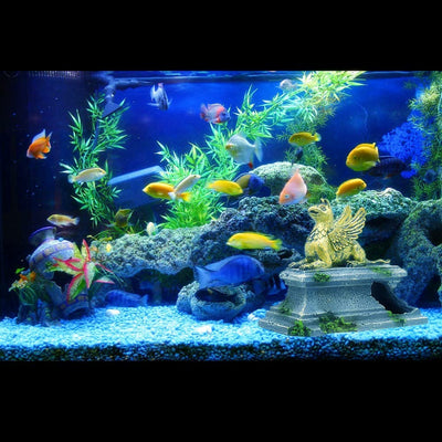 Your one-stop shop for diverse, top-quality aquarium supplies and accessories