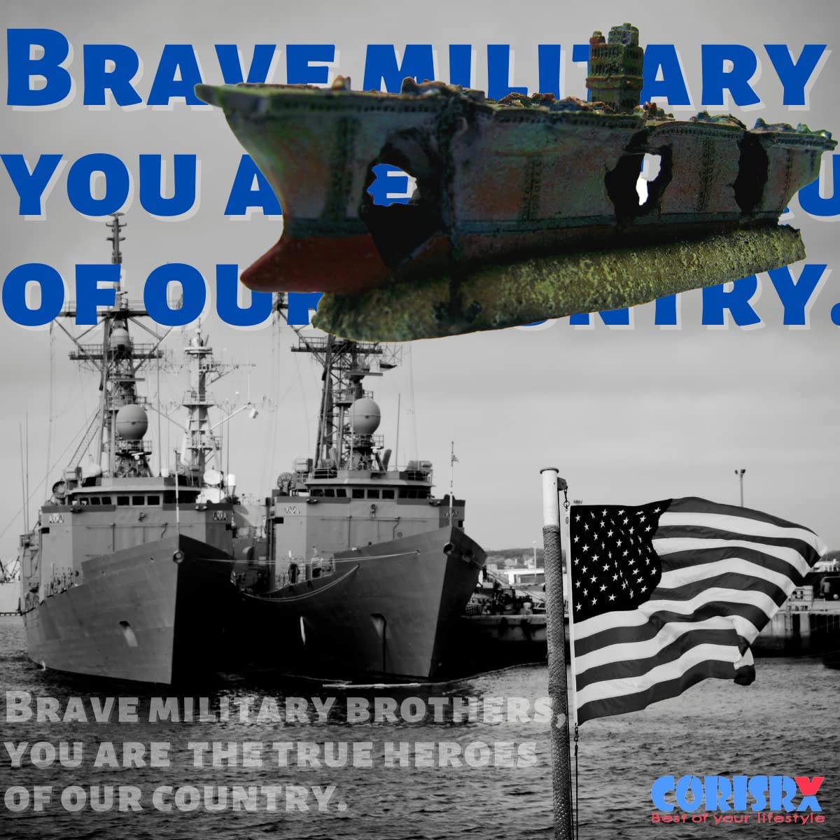 Your one-stop shop for diverse, top-quality aquarium supplies and accessories