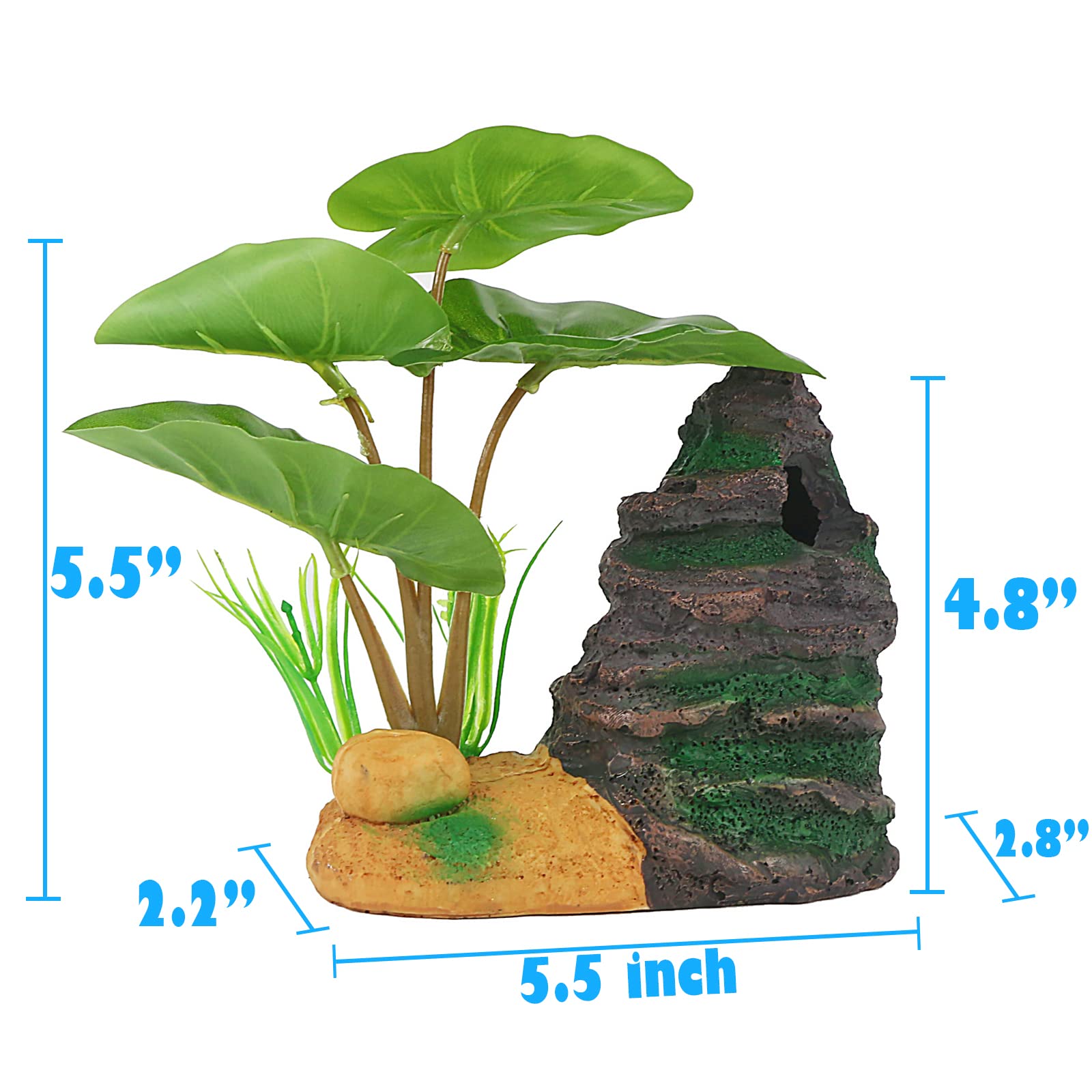 Your one-stop shop for diverse, top-quality aquarium supplies and accessories