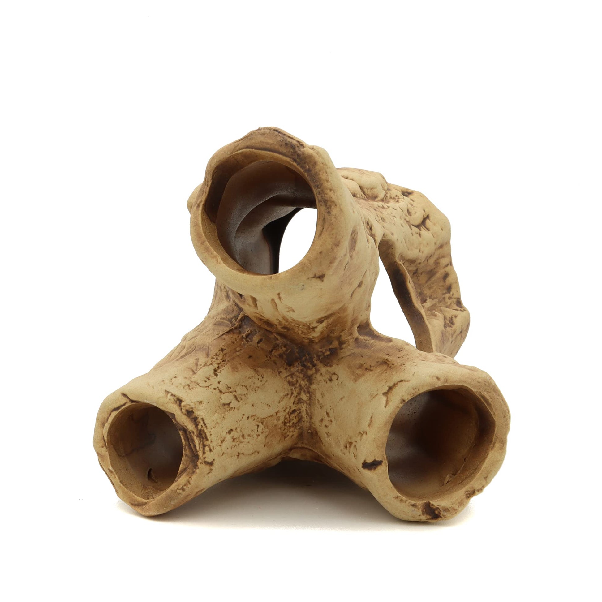 Your one-stop shop for diverse, top-quality aquarium supplies and accessories