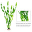 Your one-stop shop for diverse, top-quality aquarium supplies and accessories