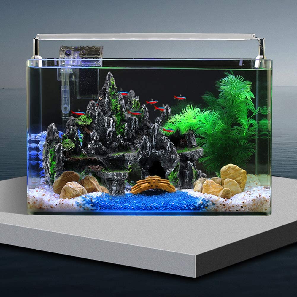 Your one-stop shop for diverse, top-quality aquarium supplies and accessories