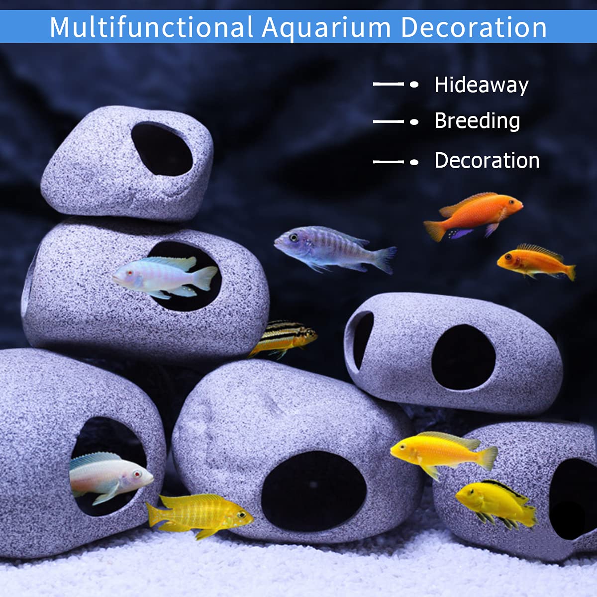 Your one-stop shop for diverse, top-quality aquarium supplies and accessories