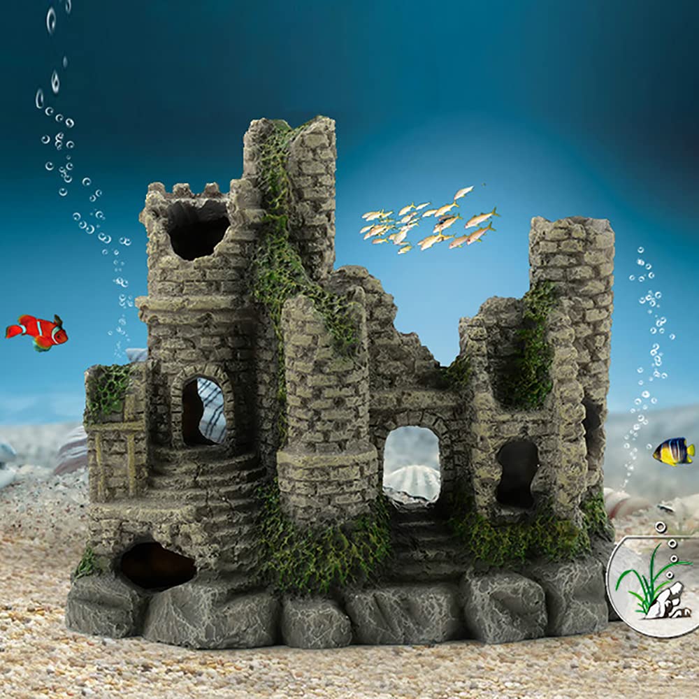Your one-stop shop for diverse, top-quality aquarium supplies and accessories