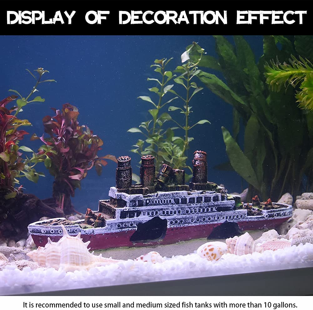 Your one-stop shop for diverse, top-quality aquarium supplies and accessories