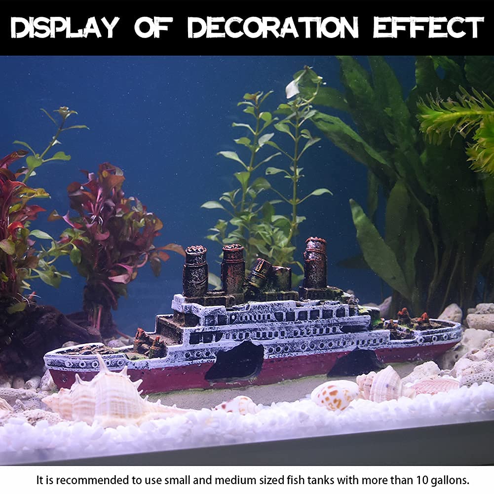 Your one-stop shop for diverse, top-quality aquarium supplies and accessories