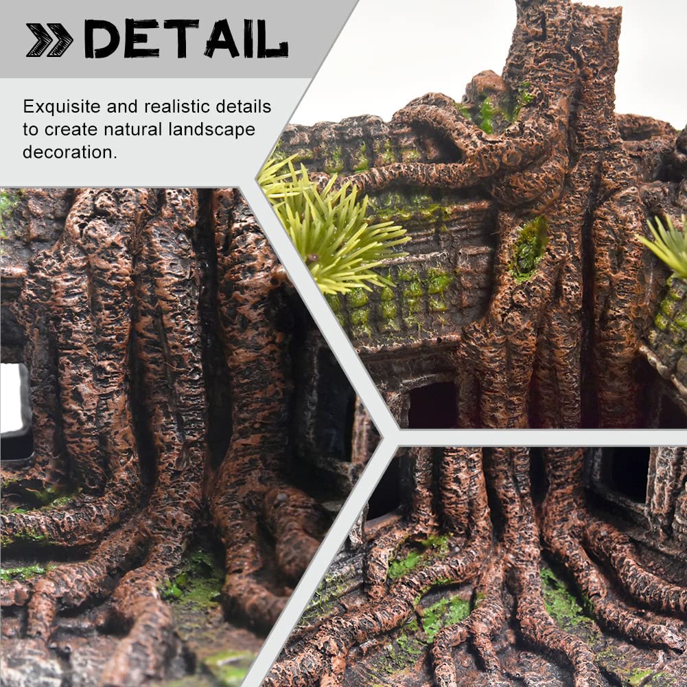 Your one-stop shop for diverse, top-quality aquarium supplies and accessories