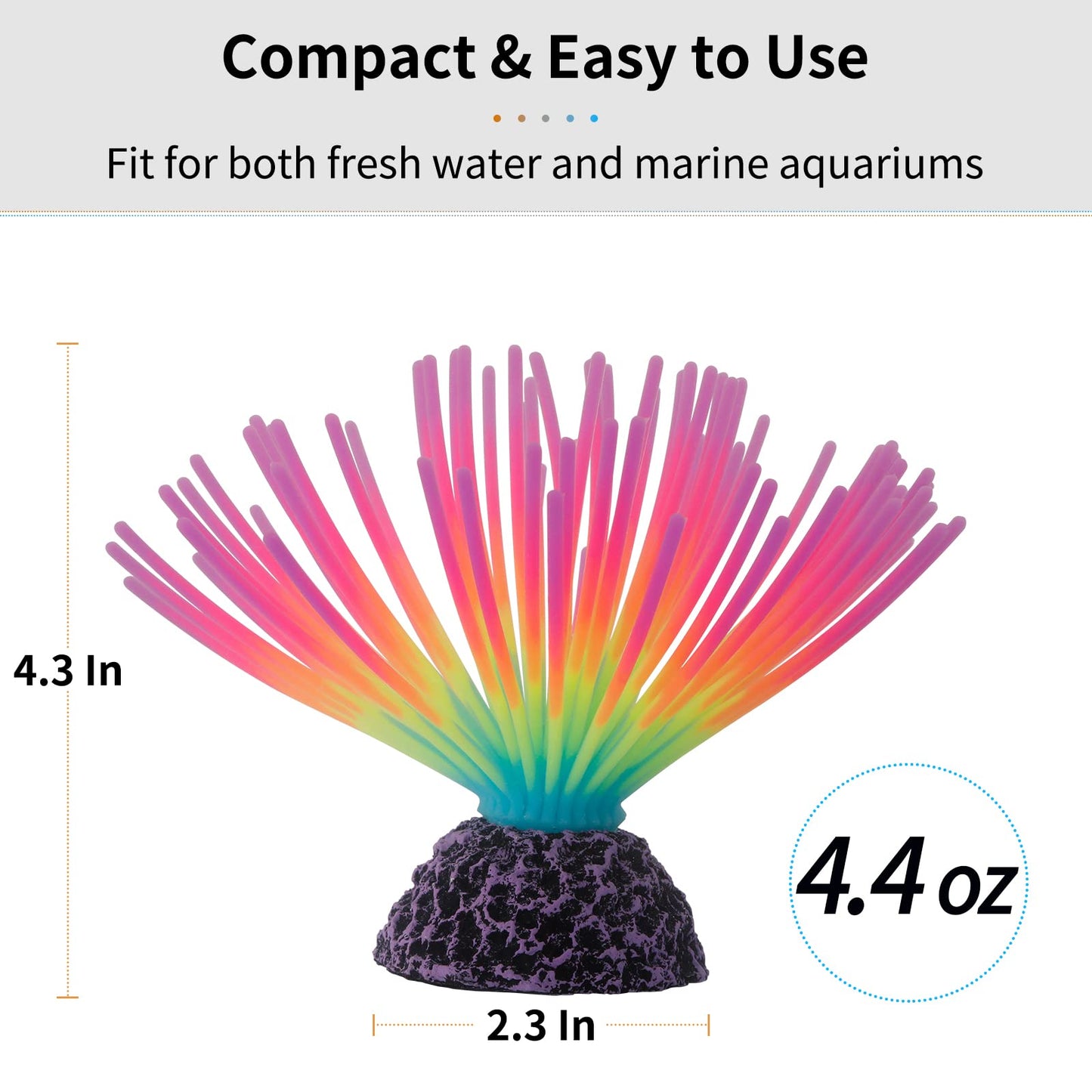 Your one-stop shop for diverse, top-quality aquarium supplies and accessories