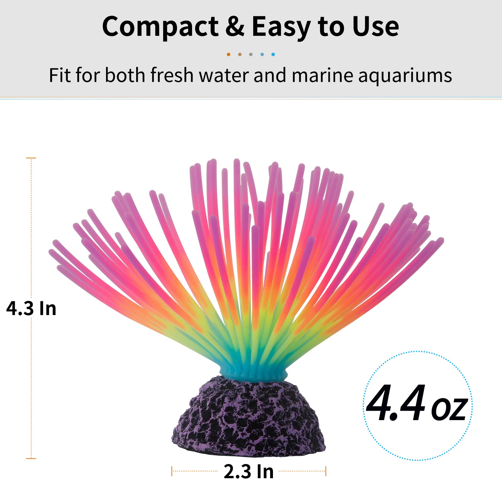 Your one-stop shop for diverse, top-quality aquarium supplies and accessories