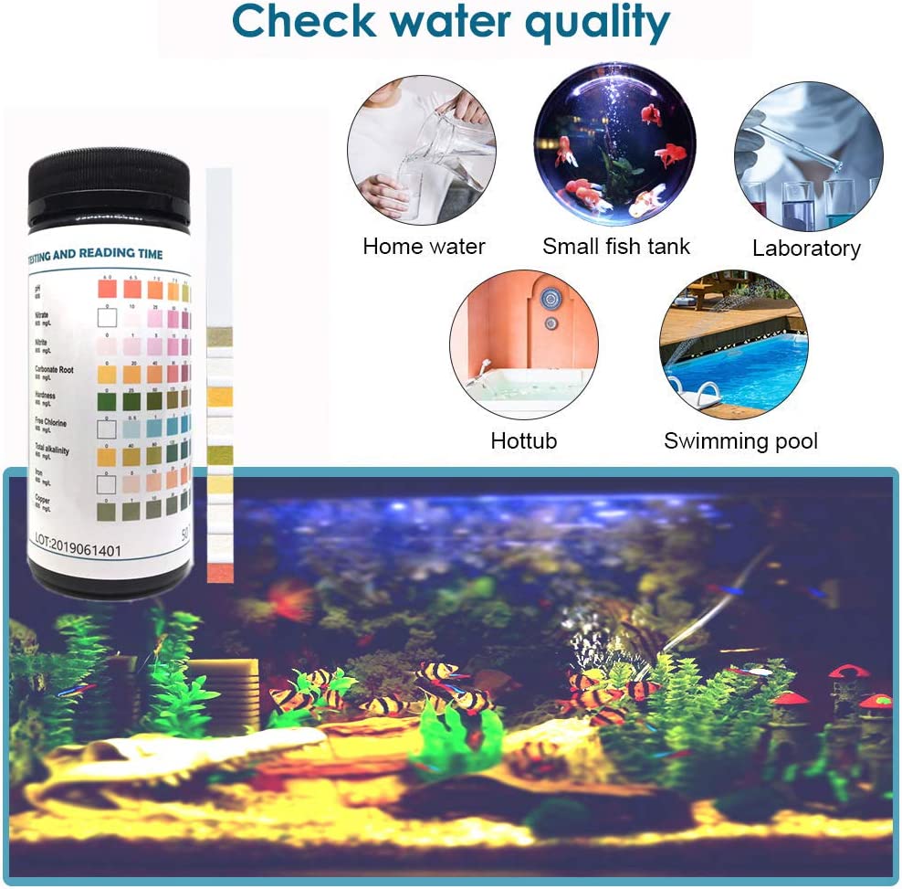 Your one-stop shop for diverse, top-quality aquarium supplies and accessories