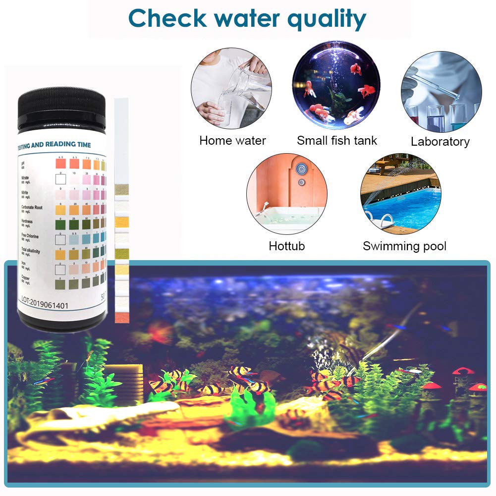 Your one-stop shop for diverse, top-quality aquarium supplies and accessories