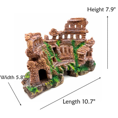 Your one-stop shop for diverse, top-quality aquarium supplies and accessories