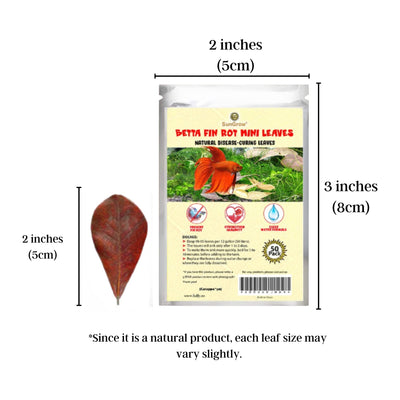 Your one-stop shop for diverse, top-quality aquarium supplies and accessories