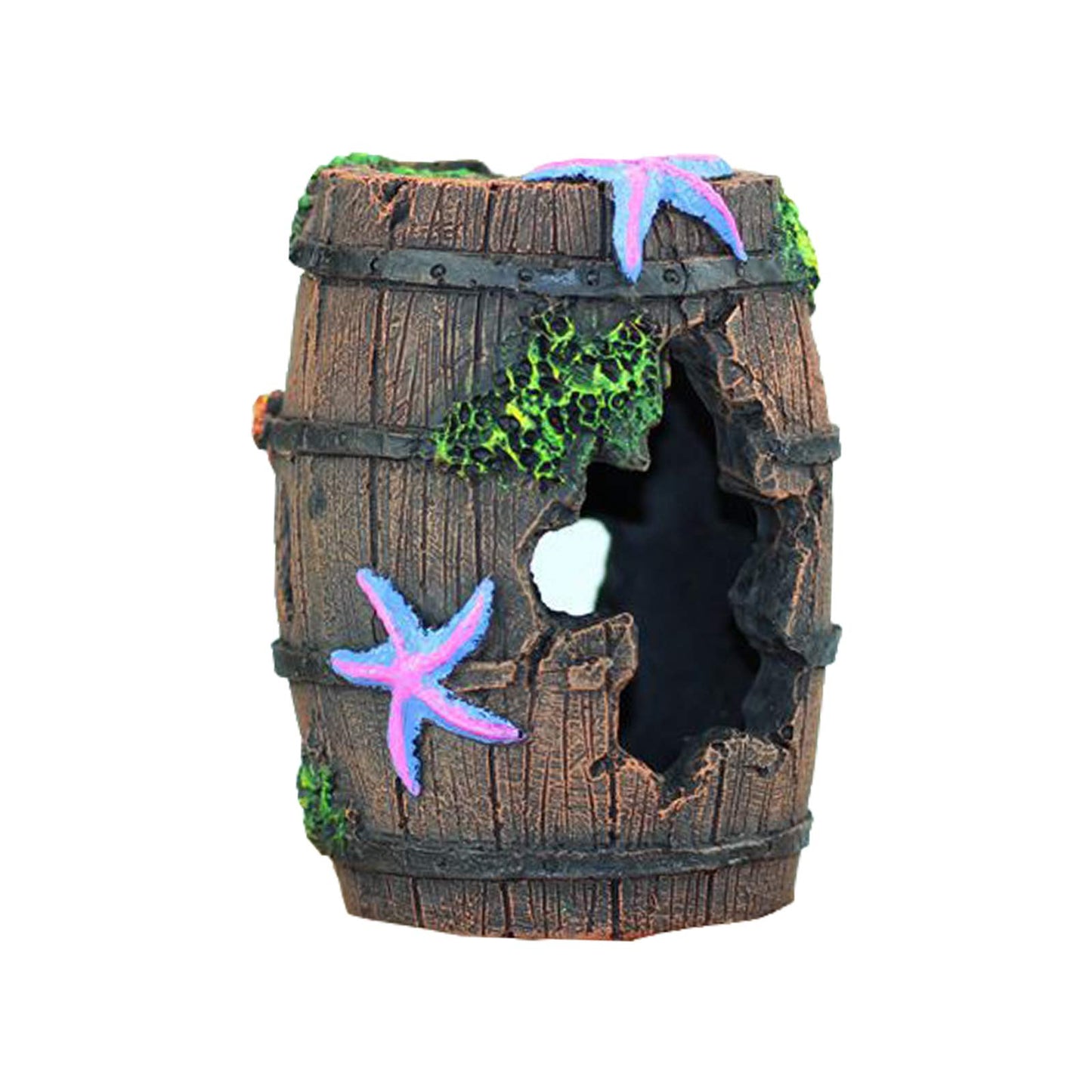 Your one-stop shop for diverse, top-quality aquarium supplies and accessories