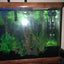 Your one-stop shop for diverse, top-quality aquarium supplies and accessories