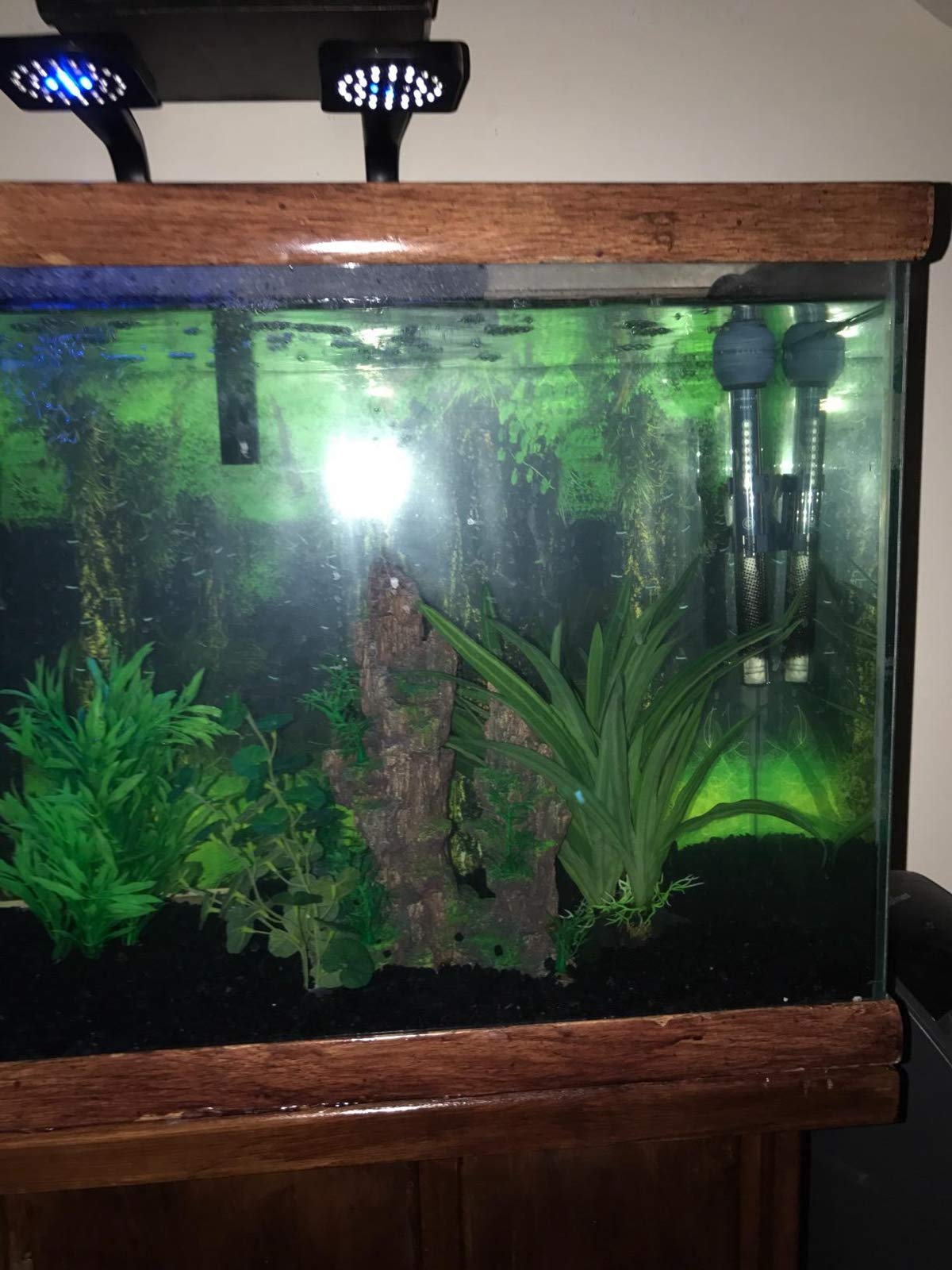 Your one-stop shop for diverse, top-quality aquarium supplies and accessories