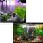 Your one-stop shop for diverse, top-quality aquarium supplies and accessories
