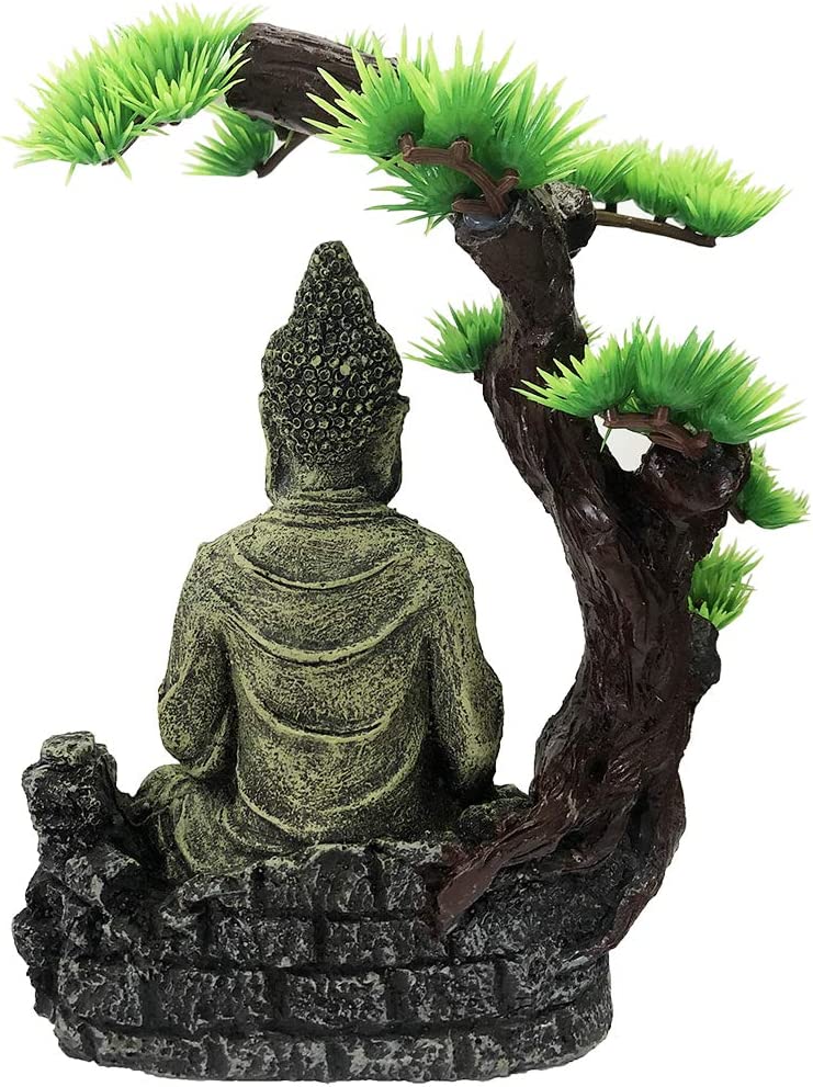 Your one-stop shop for diverse, top-quality aquarium supplies and accessories