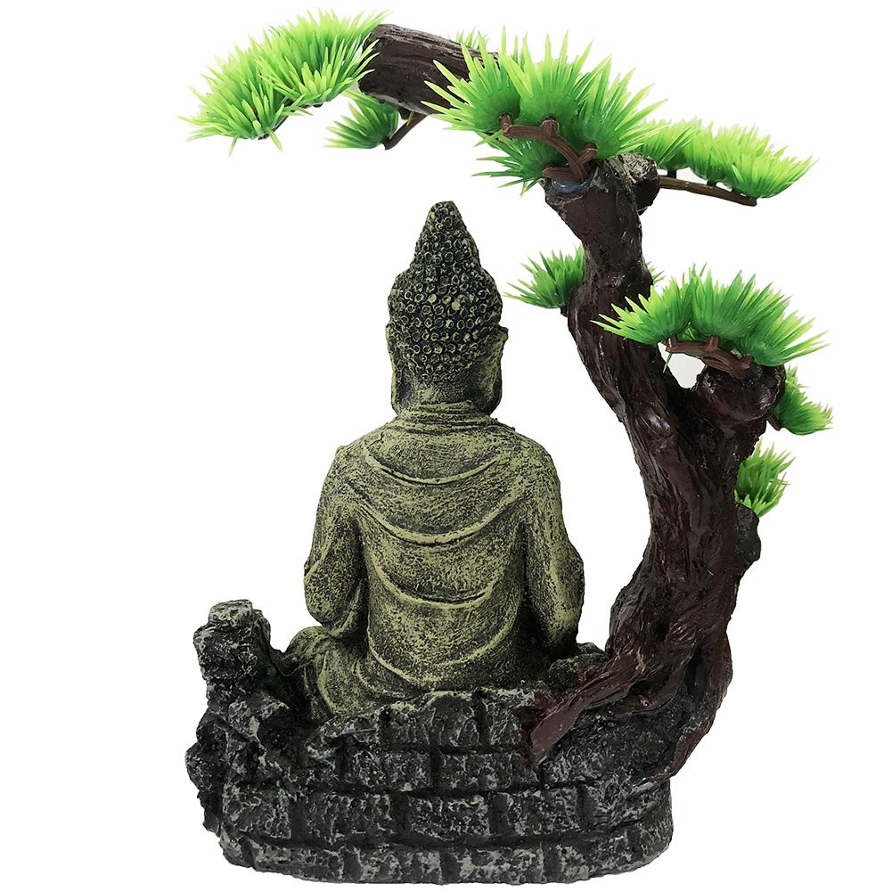 Your one-stop shop for diverse, top-quality aquarium supplies and accessories